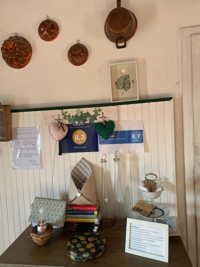 Fattoria Amelia Villa Santa Caterina  Exteriör bild