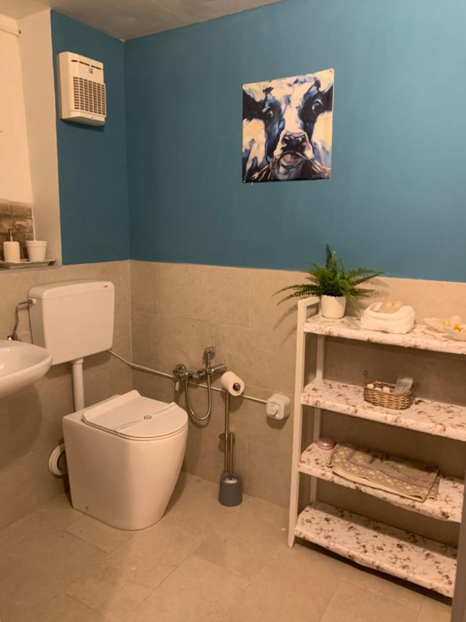 Fattoria Amelia Villa Santa Caterina  Exteriör bild