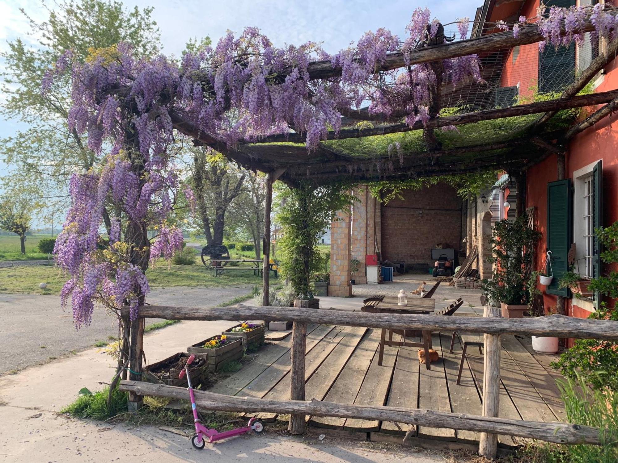 Fattoria Amelia Villa Santa Caterina  Exteriör bild