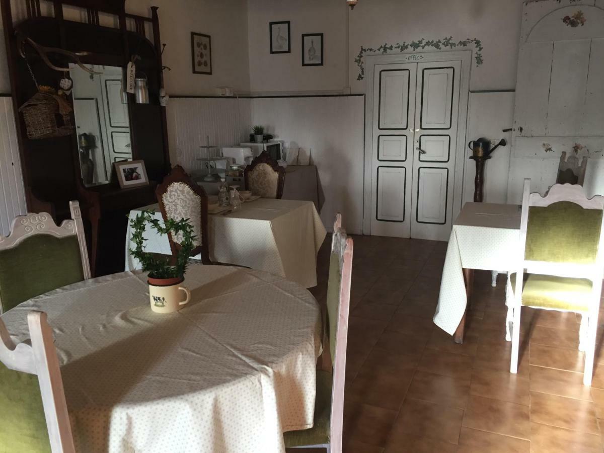 Fattoria Amelia Villa Santa Caterina  Exteriör bild